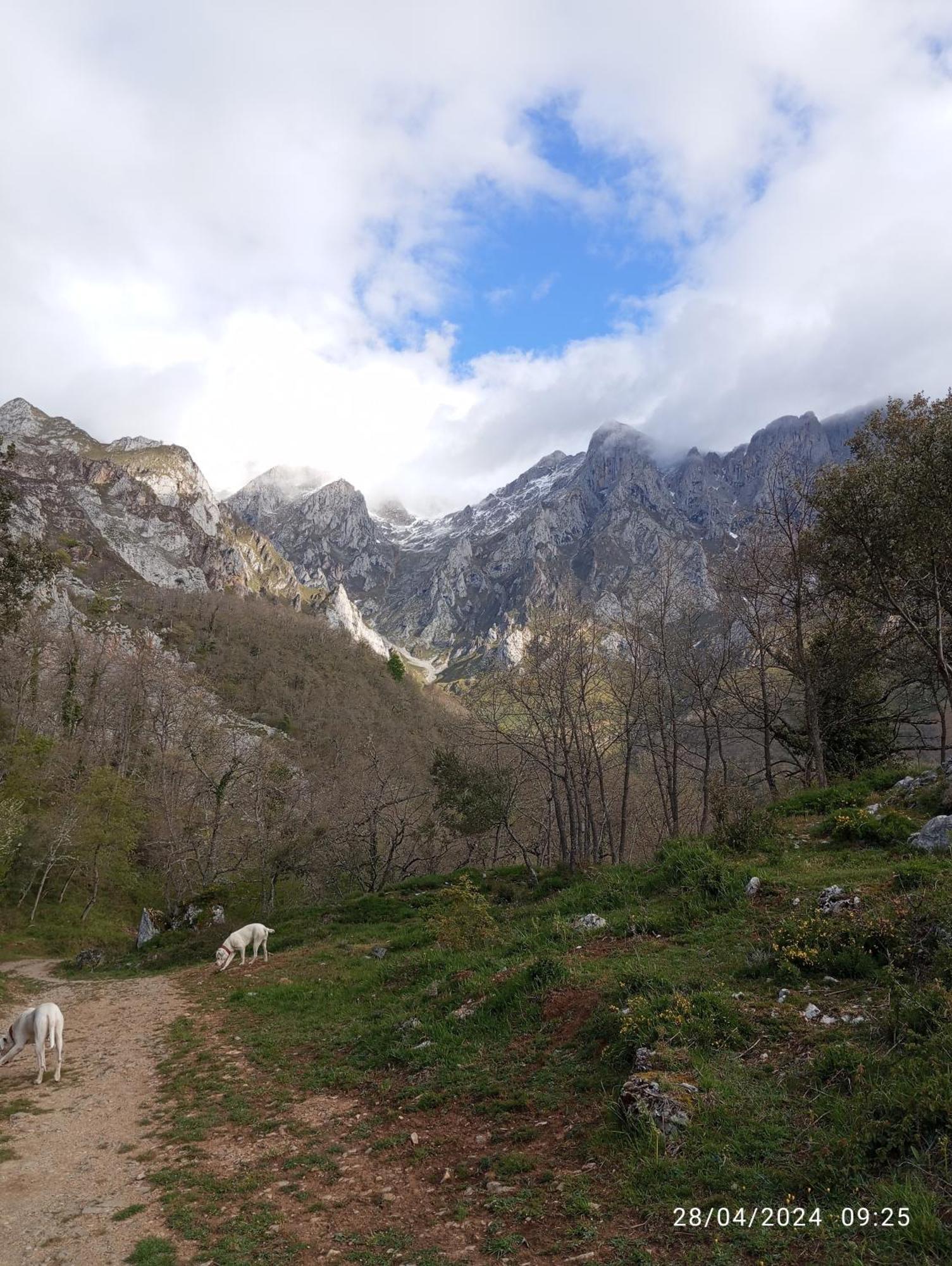 Apartamentos Las Rocas De Brez Dış mekan fotoğraf